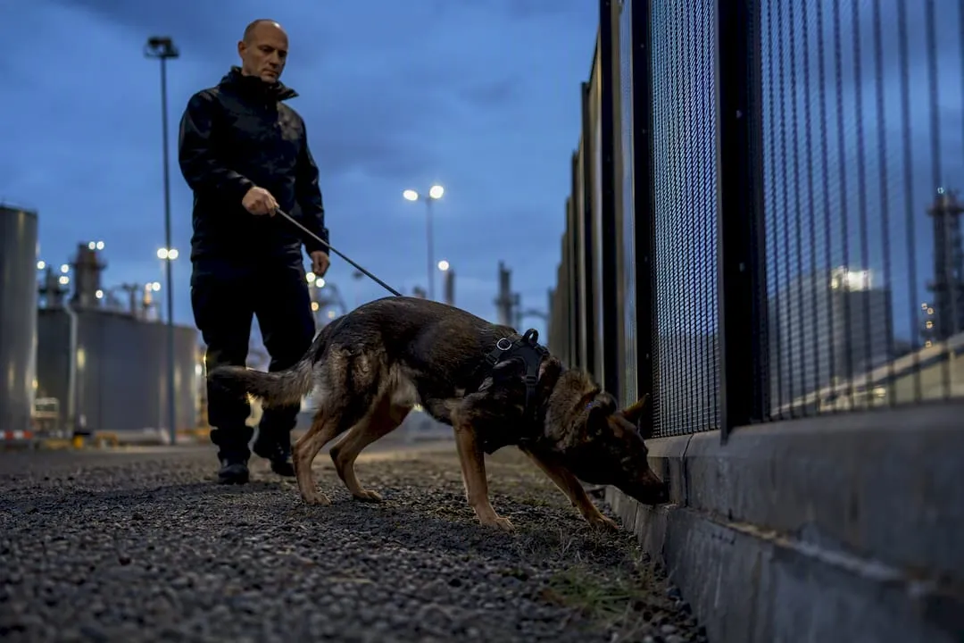Security dog handler walking dog at industrial site